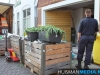 Hennepkwekerij met zo'n 1000 planten opgerold in centrum van Winschoten